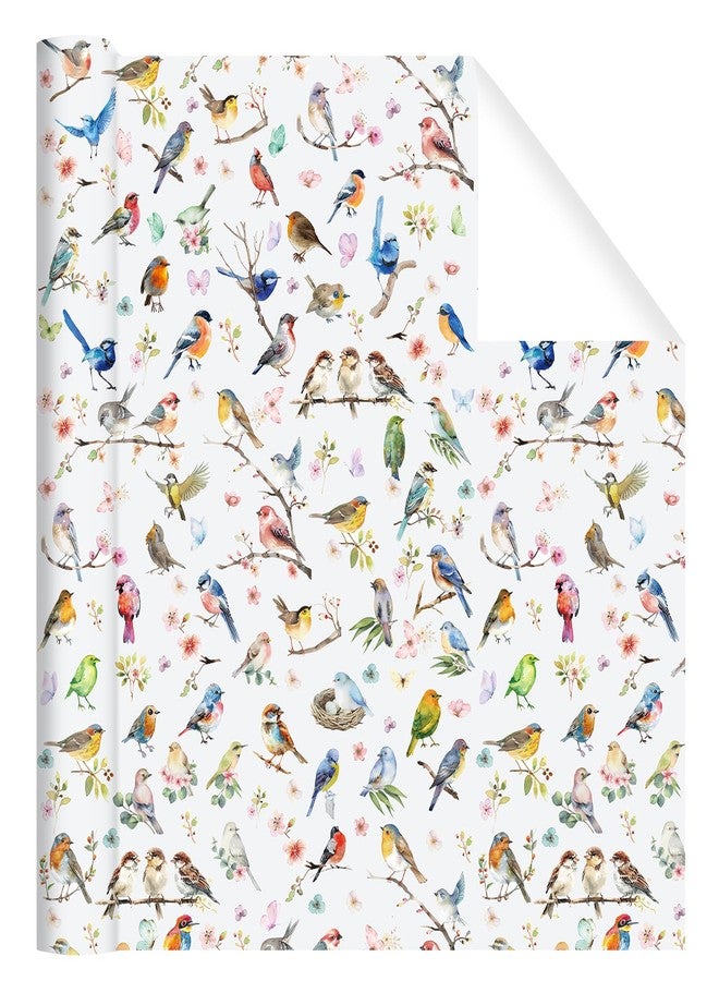 Pineraap Birds Wrapping Paper Roll - Colorful Floral Watercolor Bird Theme Gift Wrap for Birthday, Wedding, Party Decor, 17Inch x16.4Feet - Image 2